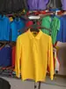 Camisa polo de manga larga, hecha de algodón piqué, con un diseño de color liso, adecuada para primavera y otoño, una camisa de trabajo business casual, y se puede personalizar con estampado de logo para venta al por mayor