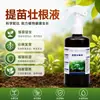 Promoção de Mudas e Líquido Fortalecedor de Raízes Promove Enraizamento e Mudas Fortes Solução Nutritiva Universal para Transplante de Árvores Frutíferas, Vegetais e Flores