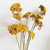 Buquê de flores secas para namorada arranjo de flores diy atacado decoração de casa mix de flores eternas adereços para sessão de fotos