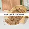 Semillas de Guisante Rojo, Frijoles de Calidad Seleccionada con Textura Firme, Adecuadas para Cultivo Hidropónico Casero, Se Pueden Usar para Cultivar Brotes, Disponibles para Dropshipping, Venta al por Mayor y al por Menor
