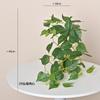 Verdura Artificial Transfronteiriça de Parede com Rede Branca, Planta Perene em Forma de Coração, Trepadeira de Parede, Planta Verde Artificial para Decoração de Parede