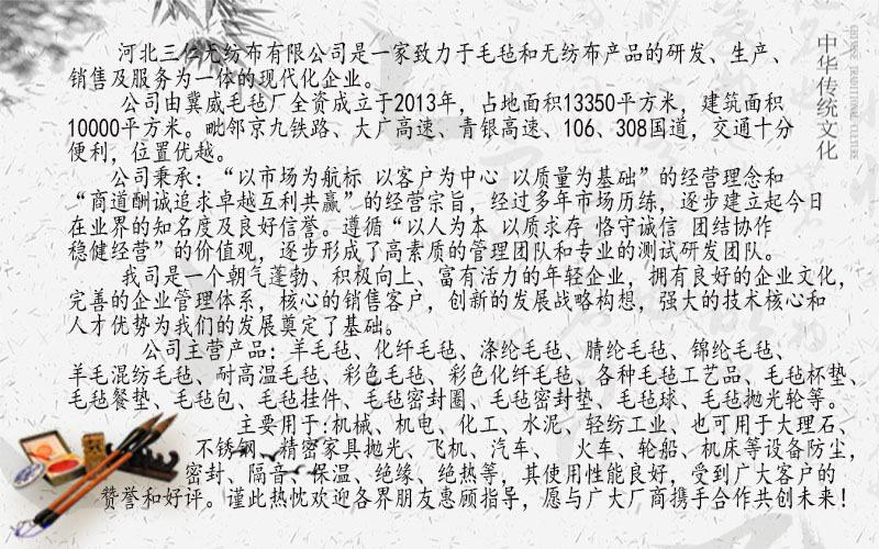 公司介绍（文字）.jpg