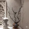 Dátiles de Dragón Secos, Ramas, Troncos de Árbol para Decoración, Garras de Dragón Curvas, Ramas Secas para Arreglos Florales, Arte Wabi-Sabi, Flores Secas Estilo Zen Secadas al Aire