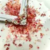 Rio Estrela Brilhante Pedrinhas de Vidro Joias para Nail Art Massa Leka Tijolo Cânhamo Fluxo DIY Bolsa de Materiais com Contas de Vidro Concha
