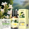 Óleo Essencial de Aromaterapia Solúvel em Óleo 10ml Fragrância de Longa Duração Máquina de Aromaterapia Difusor de Óleo Essencial Difusor de Pedra Madeira Vela de Óleo Essencial DIY