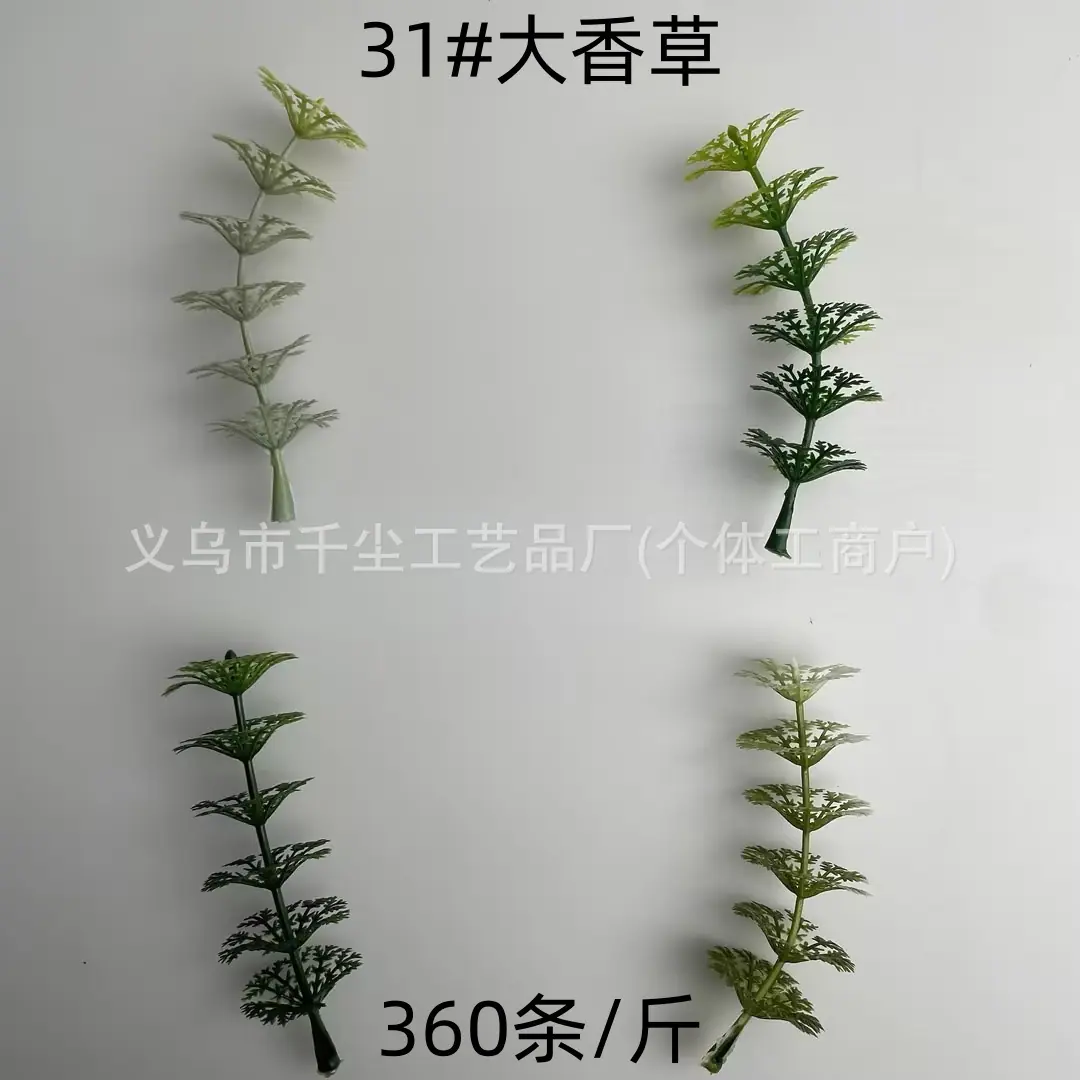 31#大香草.jpg