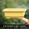 Maceta Rectangular Pequeña de Resina para Uso Doméstico, Cerámica de Imitación Arena Púrpura, Adecuada para Plantas Verdes, Bonsái de Árbol de Banyan, Venta al por Mayor