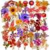 50 piezas de pegatinas de ramo de flores secas estilo vintage, flores eternas artificiales de PET transparente, pegatinas de material floral de lavanda y gypsophila