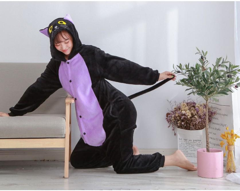 紫猫1