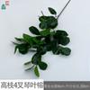Hojas grandes y altas de camelia Hojas de magnolia Madera borracha Ornamentos de plantas verdes Jardín paisajismo exterior Flores de seda al por mayor Flores artificiales