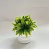 Amazon Planta Artificial Hoja de Coco en Maceta Fotografía de Boda Accesorios de Planta Verde Decoración de Sala de Estar Adornos de Maceta de Plástico