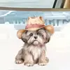 Nuevo adorno plano de perro lindo acrílico transfronterizo para coche, accesorio de mochila, decoración del hogar