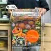 Máquina de Gashapon de Dibujos Animados para Niños Niño Muñeca de Dinosaurio Pulsera Joyería Caja Sorpresa Ciega Bola Juguete para Niña Regalo Institucional