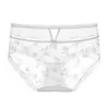 Calzones sexy de encaje hueco, malla semitransparente con moño, antibacterianos, entrepierna de algodón puro, bordes que no se enrollan, calzones para mujer