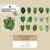 Pegatinas de selección ligera lenguaje de hoja serie canción ligera tema de hojas decoración de cuenta manual material de collage 30 8