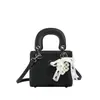 Bolso Estético de Alta Apariencia, Bolso Cuadrado Pequeño de Nicho Estilo Coreano, Bolso de Hombro Elegante y Sencillo, Bolso Cruzado de Nueva Moda para la Temporada