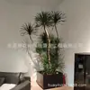Alta Imitação Nórdica Sangue de Dragão Ferro Madeira Milenar Árvore de Bambu Dragão Árvore de Ferro Planta de Simulação Planta para Sala de Estar Hotel