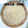 Versão Atualizada Pacote de 1,0kg de Farinha de Rosca para Uso Comercial, para Empanar Coxas de Frango Frito e Filés de Frango, Farinha de Rosca Dourada Crocante para Frango Frito, Sabor Banana