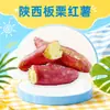 Batatas dulces de castaña Shaanxi Lintong Dropshipping 3/5/ 4.5 kg Suave, glutinoso, dulce y azucarado raíz y tallo de batata verduras frescas