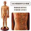 Folha de Cobre para Acupuntura Uso Doméstico Medicina Tradicional Chinesa Silicone Modelo de Diagrama de Meridianos do Corpo Humano com Pontos de Acupuntura