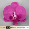 Cabeça de Flor de Orquídea Phalaenopsis Artificial Acessório de Cabelo Hanfu Material Floral Artesanal Adereço para Fotografia de Casamento Flor Falsa Flor Eterna Acessório de Flor de Seda