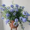 Planta Verde en Maceta con Forma de Piruleta de Copo de Nieve Azul, Florece Todo el Año, Fácil de Cuidar, Plántulas Grandes con Capullos de Flor, Flores Resistentes al Calor para Balcón y Jardín