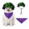Peruca Afro Divertida Bicolor para Pets Peruca Cacheada de Palhaço Universal para Gatos, Cachorros e Patos para Festas de Feriado e Sessões de Fotos