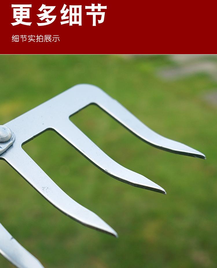 未标题-1_11.jpg