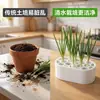 Caixa hidropônica para vegetais, caixa para cultivo doméstico sem solo, kit hidropônico para cultivar cebolinha, coentro, alho e outras plantas