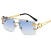 Gafas de Sol Redondas con Borde Cortado Doble Puente Cabeza de Leopardo para Hombres y Mujeres Gafas de Sol Anti-UV Gafas de Sol de Moda para Hombres Gama Alta