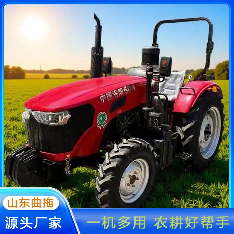 瑞得504大棚王 2