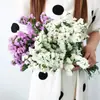 Directamente de Yunnan Nomeolvides Gypsophila Flores Reales Semisecas Secadas al Aire Naturalmente Flores Conservadas Regalo Adorno para Sala de Estar Mesa de Comedor