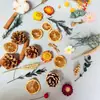 Decoraciones Navideñas, Piñas, Flores Secas, Adornos Creativos Hechos a Mano DIY de Material de Bosque, Decoraciones para Entorno de Jardín de Infancia