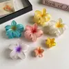 Conjunto de Presilhas de Cabelo Doces de Frangipani Estilo Verão Transfronteiriço, Grampo para a Parte de Trás da Cabeça, Presilha Tubarão, Acessório de Cabelo de Flor de Acrílico