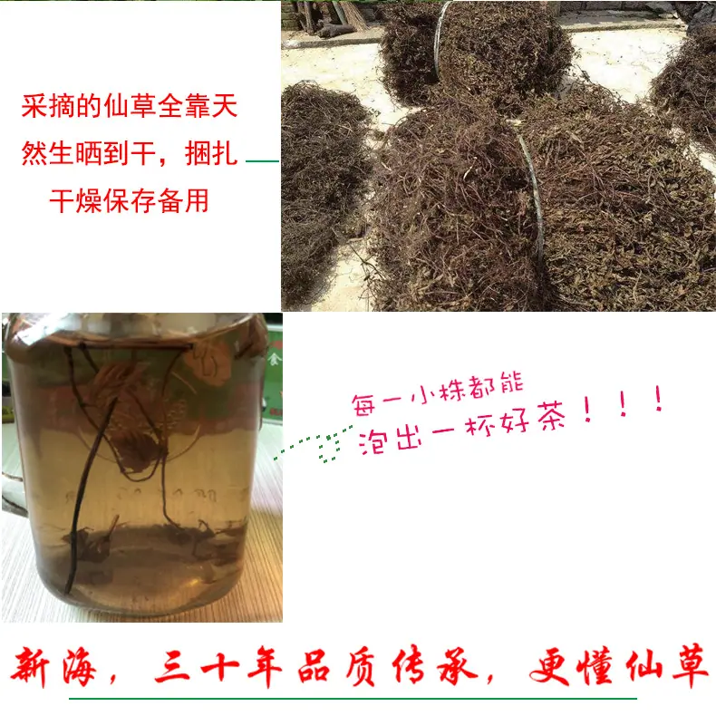 仙草种植2.jpg