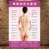 Diagrama de Rasurado de Espalda, Centro de Bienestar, Belleza, Gráfico de Puntos de Acupuntura del Cuerpo Humano, Cartel Promocional de Medicina Tradicional China, Pegatina de Diagnóstico de Espalda