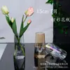 Atacado Transfronteiriço Vaso de Flores de Vidro Sódio-Cálcio Estilo Europeu Luxo Leve Vaso de Vidro de Alta Qualidade para Sala de Estar Flores Hidropônicas