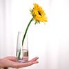 Nuevo Exquisito Jarrón de Vidrio de Color Mágico Galvanizado Simple Arreglo Floral Hidropónico Set de Flores Decoraciones Decorativas de Escritorio Sala de Estar