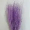 Flores Preservadas, Hierba Rosa, Flores Secas, Hierba Mosquitera, Cola de Zorro, Materiales Florales DIY, Arreglos de Boda, Decoración del Hogar, Venta al por Mayor de Fábrica