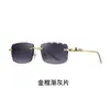 Nuevas Gafas de Sol Serradas de Moda Europea y Americana de Lujo con Estampado de Leopardo para Vacaciones, Gafas Cuadradas Casuales para Conducir para Hombres y Mujeres
