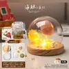 Luz de Noche de Gelatina de Concha de Erizo de Mar Natural Kit de Materiales Hechos a Mano para Bricolaje Adorno Decorativo Regalo para Niños y Novias