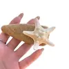 Sol de Isla Estrella de Mar Natural Pinza para el Pelo de Paja Estilo Vacaciones en la Costa Pinza Lateral Flequillo Pinza Pequeña Pinza para el Pelo Accesorios para el Cabello