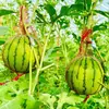 Sacos de Plástico Tecido Atacado para Embalar Melancia, Sacos de Rede de Nylon com Frete Grátis, Sacos de Rede com Cordão para Frutas