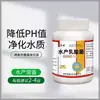 Bactérias Lácticas Aquáticas para Redução do pH, Líquido Probiótico para Apetite de Camarões e Peixes, Administração Oral para Botias, e Cultura de Cepas de Bacillus Fecal