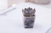Maceta Gruesa de 7 cm Mejorada Translúcida Creativa de Plástico Maceta para Flores Onda de Agua Escandinava Exportación Suculenta Planta Pequeña Verde