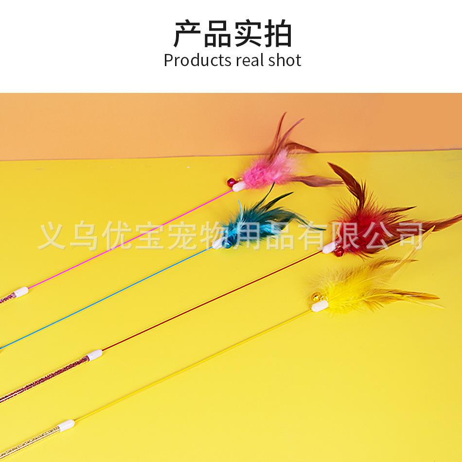 彩竿单羽详情_10