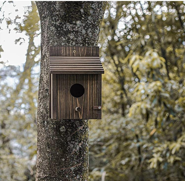 微信图片_202108240635553