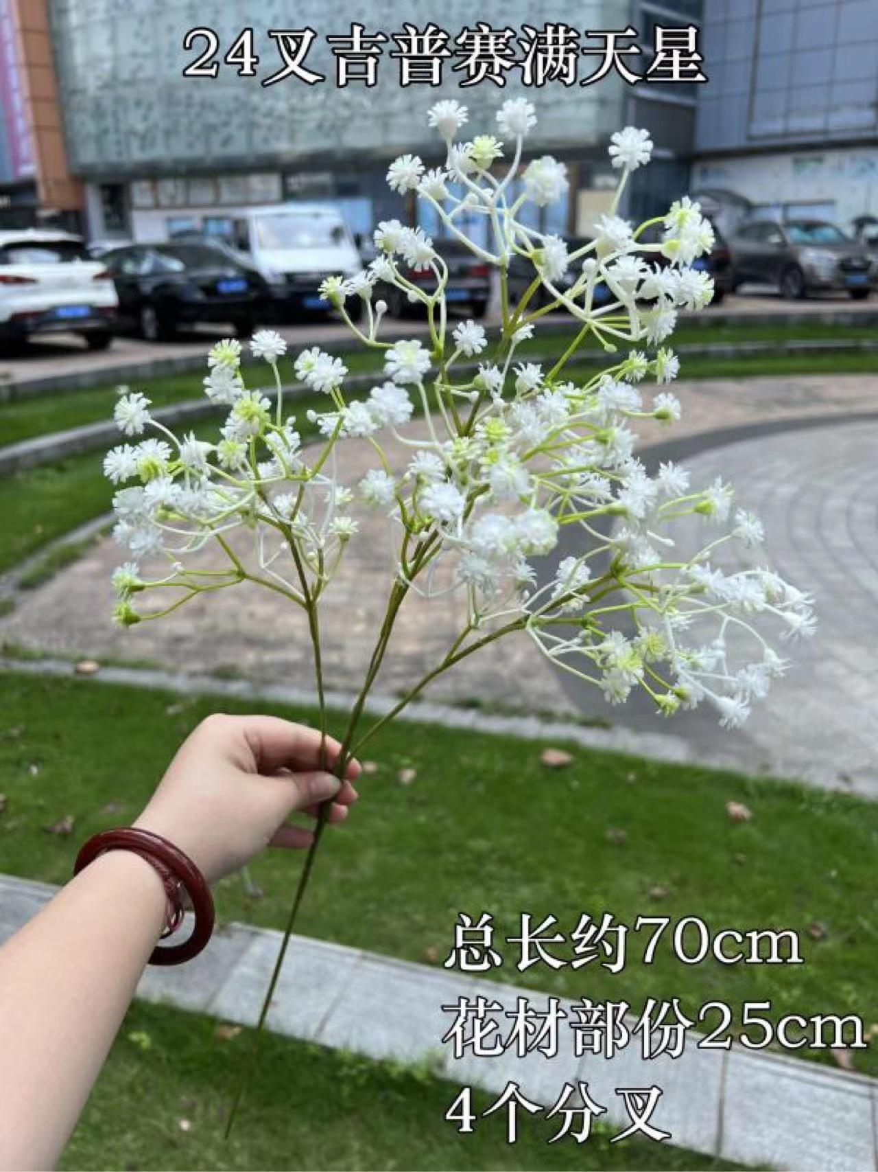 微信图片_20240918185124