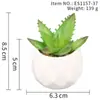 Suculenta Planta Taça de Diamante Bonsai Decoração Casa Escritório Es1178-4 Paisagem em Microfibra Aveludada Mini Alta Simulação