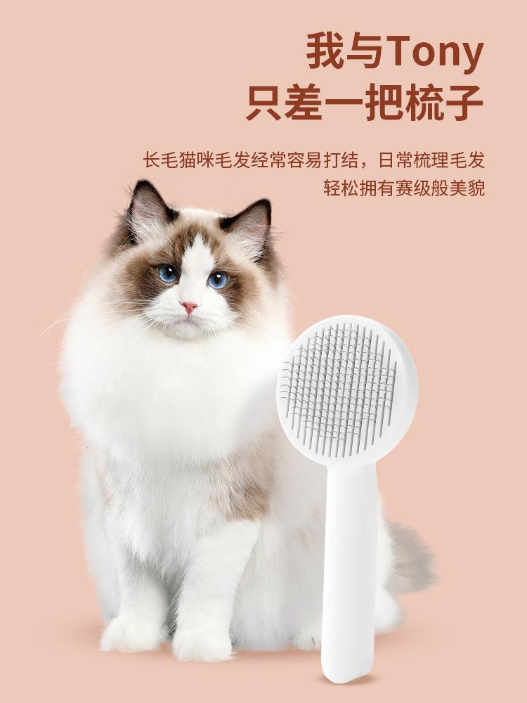 主图 750_0000_组 8 拷贝 8.jpg